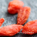 Factory supply organic superfood goji berries